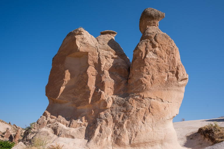 The Camel