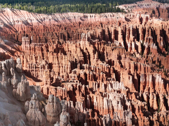Bryce Canyon / Hoodoos