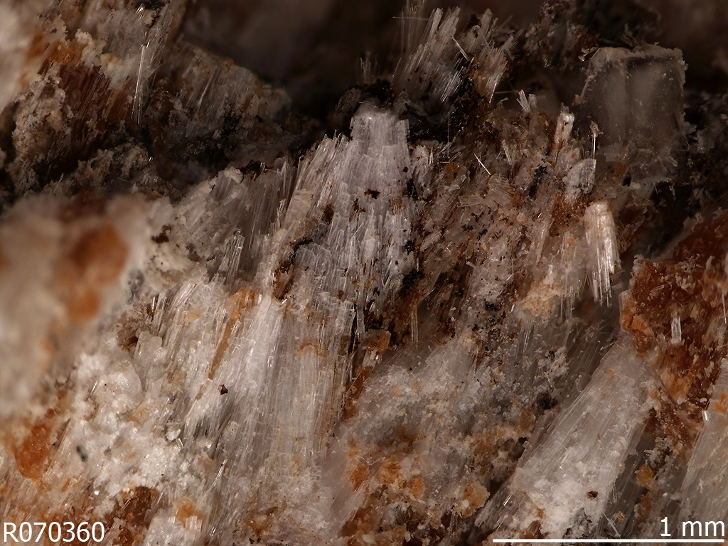 Adamsite-(Y)