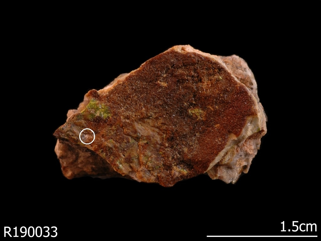 Adanite