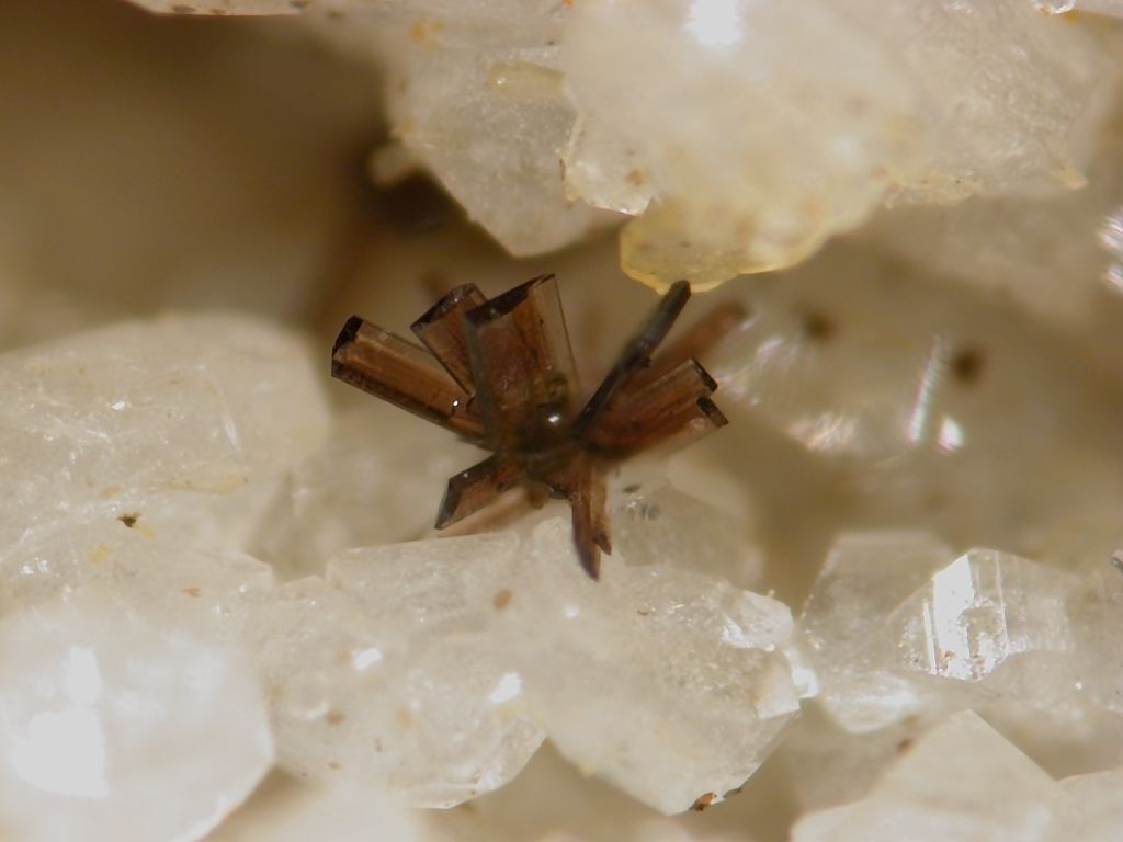 Aeschynite-(Y)