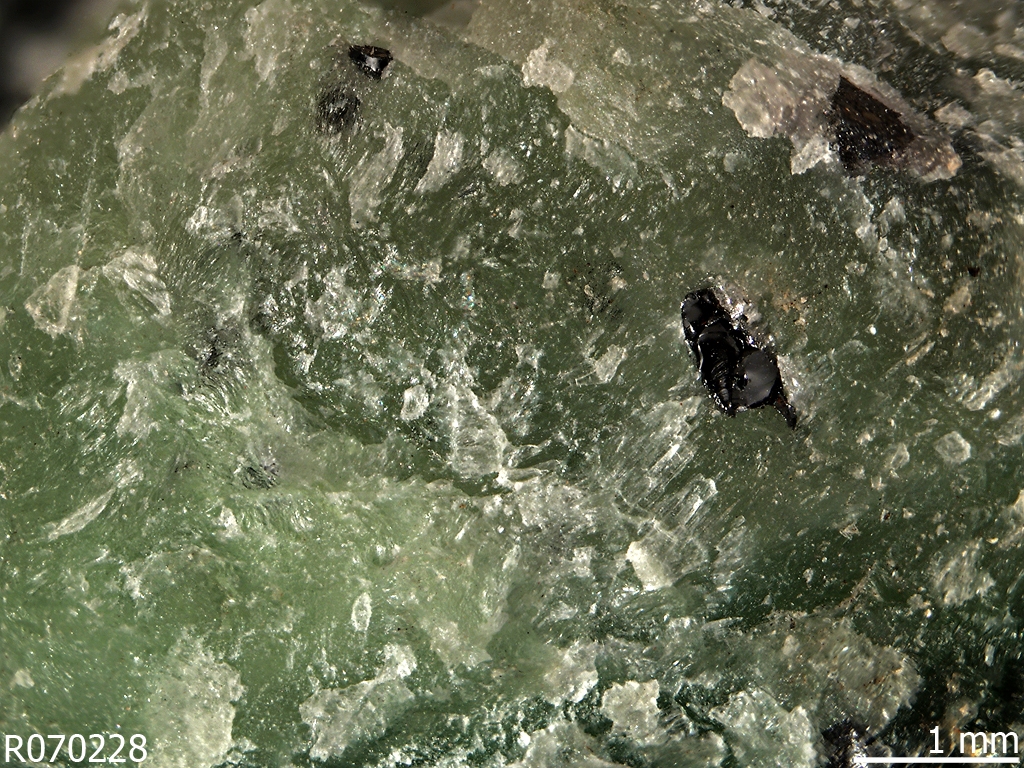 Antigorite