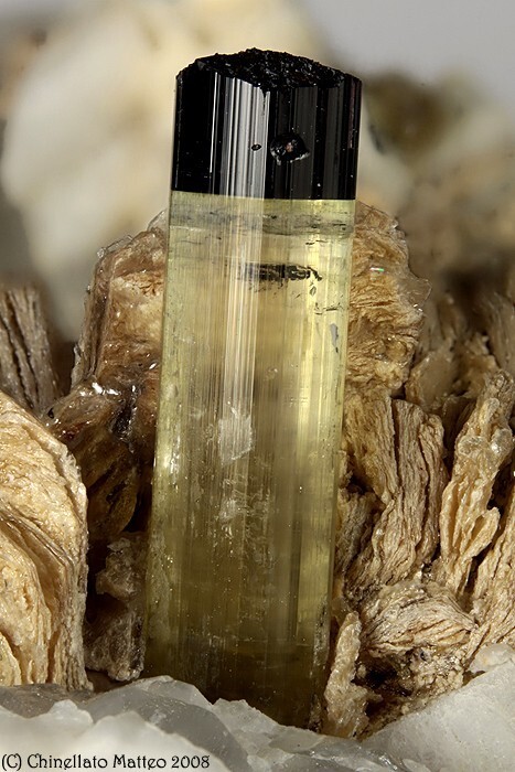 Elbaite Moors head