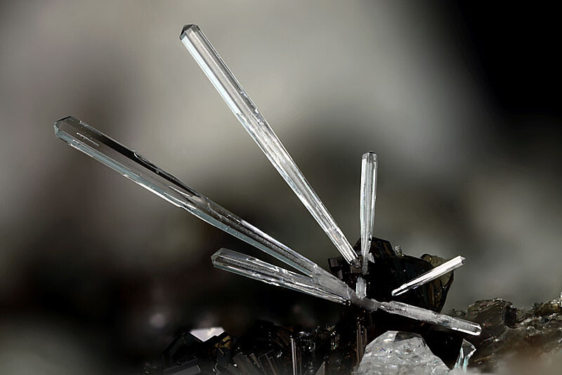 Fluorapatite