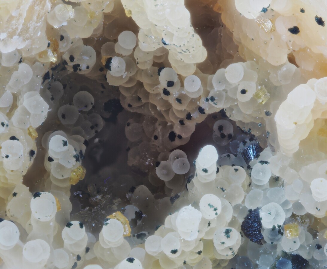 Fluorapatite