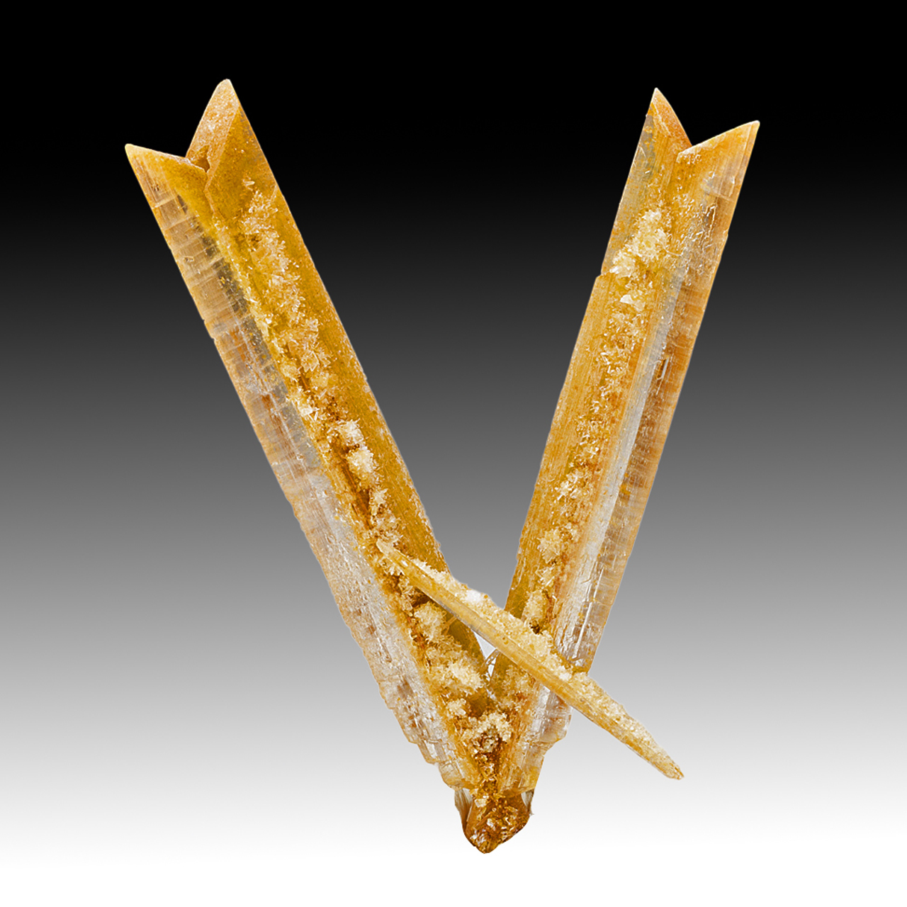 Gypsum