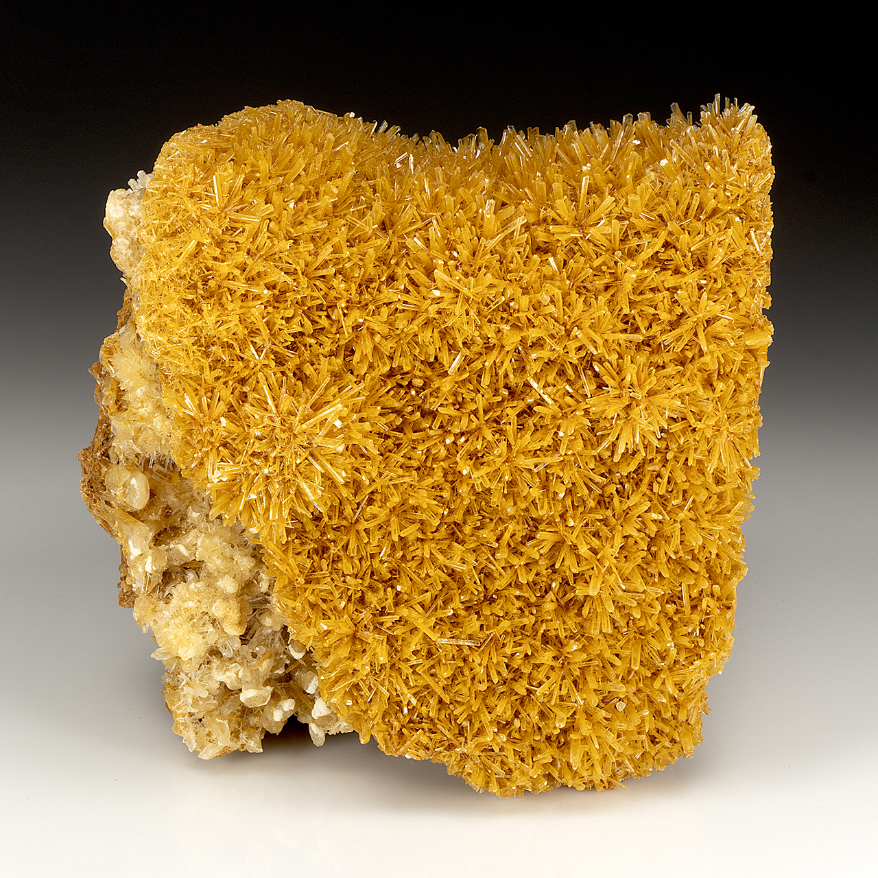 Gypsum