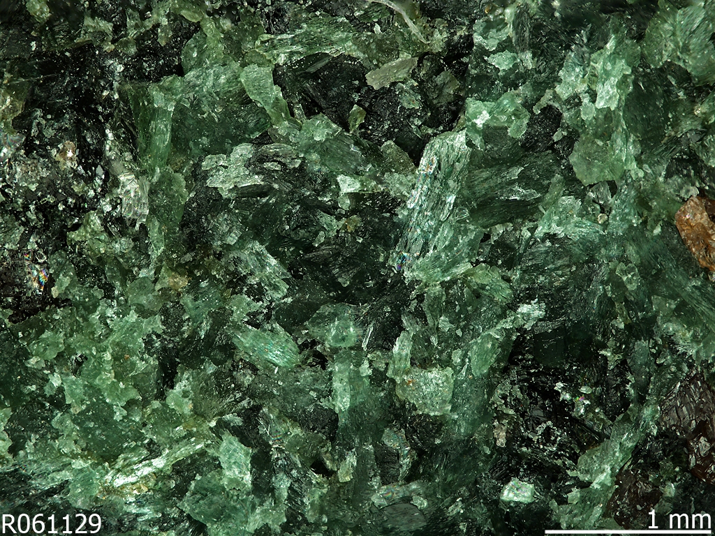 Omphacite