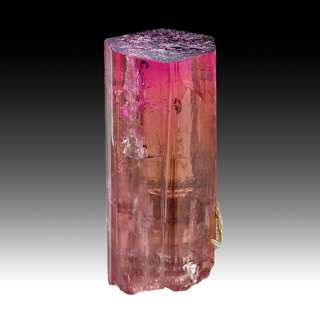 Rubellite