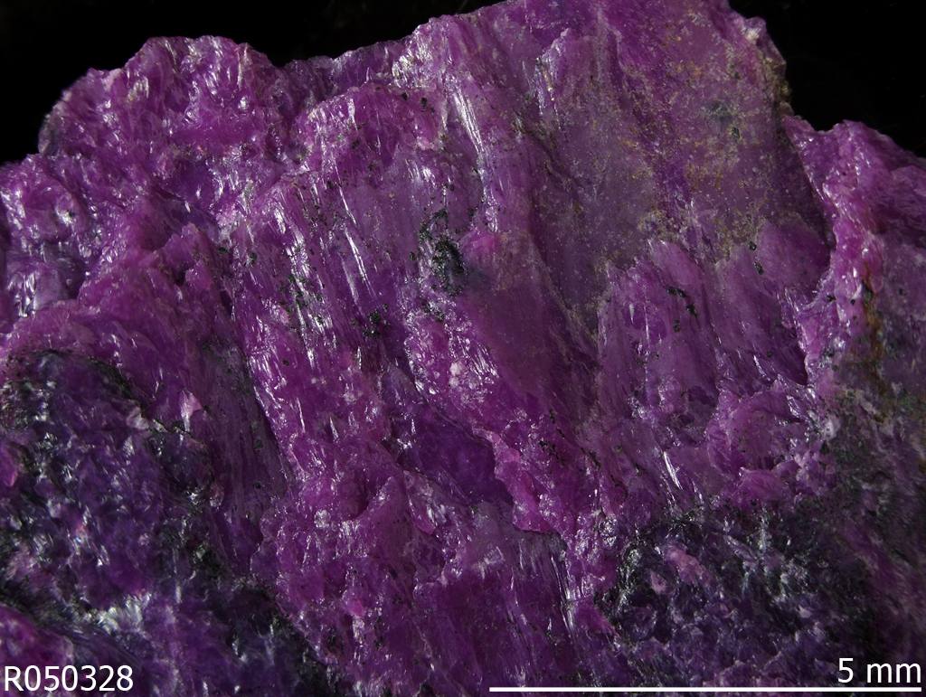 Stichtite
