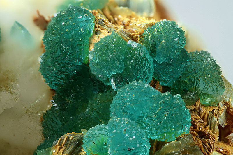 Turquoise