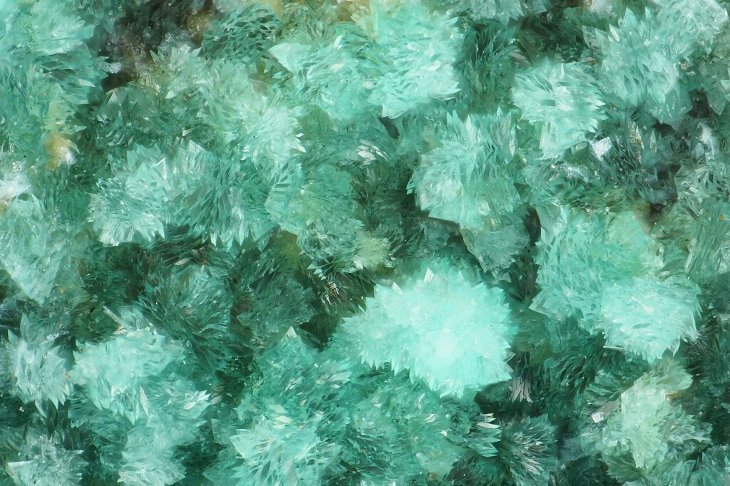 Turquoise