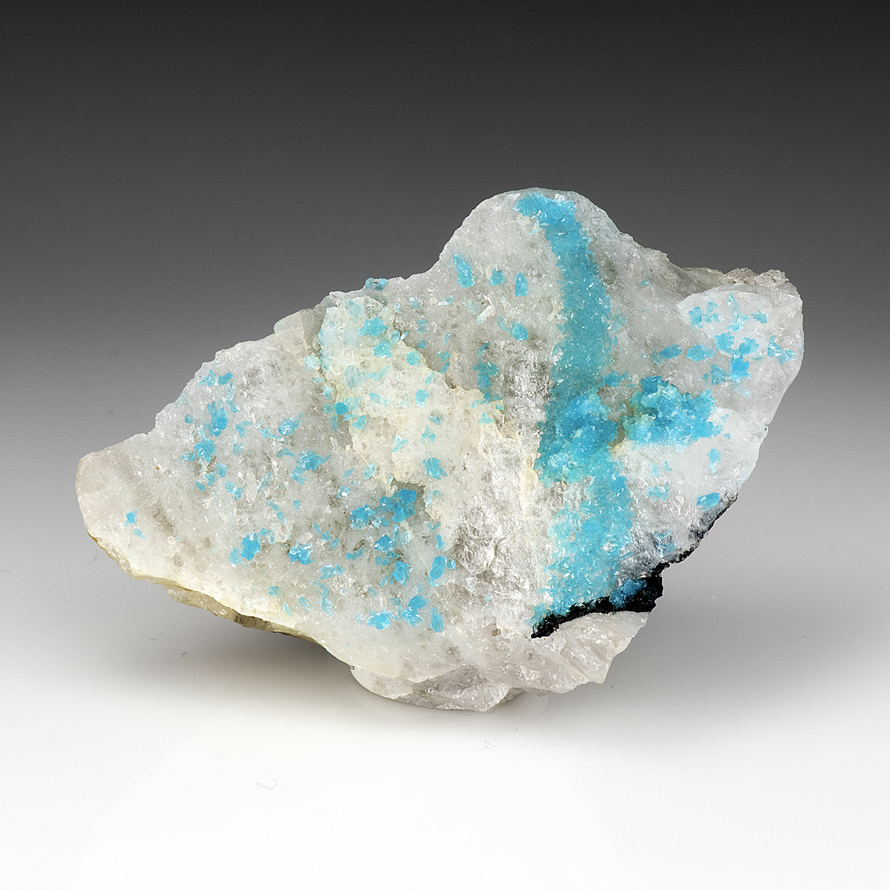 Turquoise