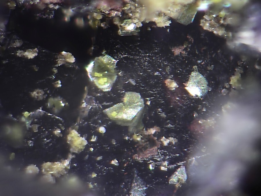 Wolfsriedite